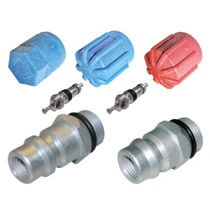 Santech Industries A/C System Valve Core and Cap Kit MT2904 - Bild 1 von 2