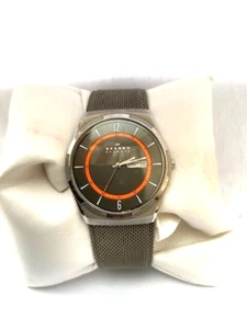 Skagen of Denmark Titangehäuse Day&Date 50ATM WR Armband Uhr SKW6007 - Bild 1 von 12