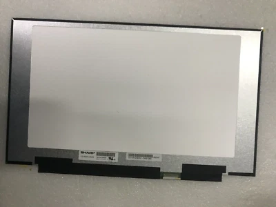 Pantalla LED LCD 15.6"300HZ EXACTAMENTE NÍTIDA LQ156M1JW23 EDP40PIN IPS FHD 1920X1080 Foto 1 de 4