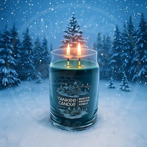 Yankee Candle Magical Frosted Forest 20 oz Large Jar Icy - Eucalyptus Pine Cedar - Picture 1 of 3