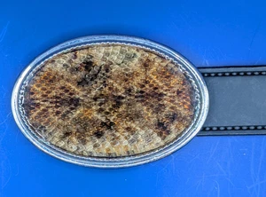 Rattlesnake Skin Belt Buckle with Epoxy Overlay made in USA - Picture 1 of 3