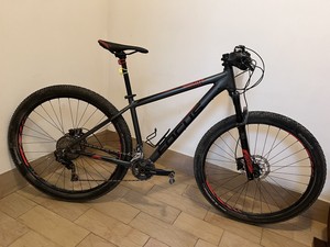 Biciclette Focus | Acquisti Online su eBay