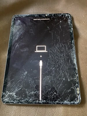 Apple iPad Pro 1. Gen, Wi-Fi + 4G, 11 Zoll - Space Grau - Bild 1 von 2