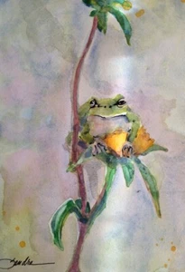 Frog on a Flower Sandra Stone Watercolor Limited Edition Nature Art - Picture 1 of 2