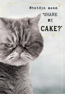 Birthday Card Whatdya Mean 'Share My Cake?' Humor Funny Sassy Cat Friend Her - Picture 1 of 2