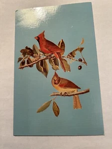 Cartolina Cardinal Bird di J.J. Audubon Ky State Litografia d'epoca non spedita - Foto 1 di 2