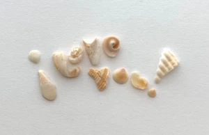 Natural Letter Shaped I LOVE YOU! beach shells Valentine craft/art seashell ❤️ - Picture 1 of 13