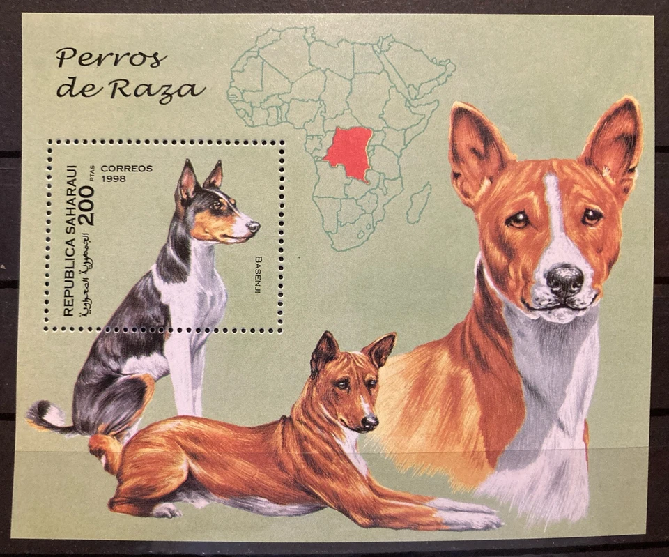 Sahara Occidental, dog, basengi MNH S/S of 1  issued in 1998 - Image 1 of 1
