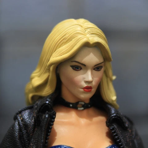 1/12 Custom DC Universe Dinah Drake Black Canary Head Sculpt Cover