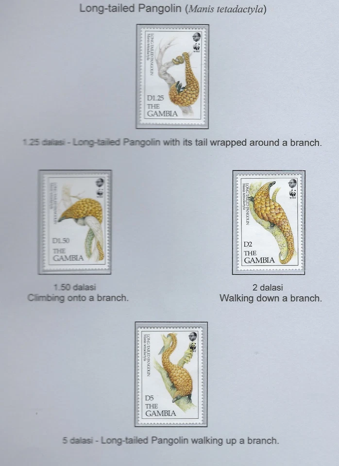 Gambia / 1993 / Pangolin / Set of 4 + Souv S / #1362-1366 / WWF / MNH / 1400-1 - Image 1 of 2