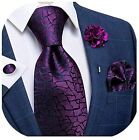DiBanGu Silk Tie Woven Handkerchief Men's Necktie and Lapel Pin Brooch Set Paisl