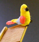 Small Multi Coloured Parrot Pet Bird Tumdee 1:12 Scale Dolls House Miniature