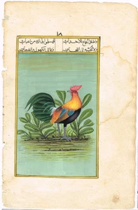 Pintura miniatura a mano de un pájaro gallo indio arte vintage sobre papel 6,5 x 10,25 - Imagen 1 de 9