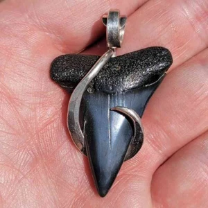 1 7/8" .925 Sterling Silver Wrapped Extinct Great White Fossil Shark Tooth - Picture 1 of 3