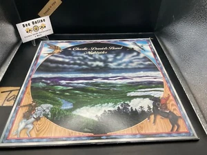 Charlie Daniels Band - NightRiger Vinyl LP 1975 KAMA SUTRA Records 🐝 - Imagen 1 de 5