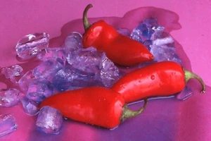35 MM Color Slides Pro Photo Vegetables Red Peppers on Ice  Still Life #12 - Picture 1 of 1