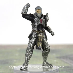 Adventures from Baldur's Gate * KETHERIC THORM #41 Icon D&D CHASE rare miniature - Bild 1 von 3