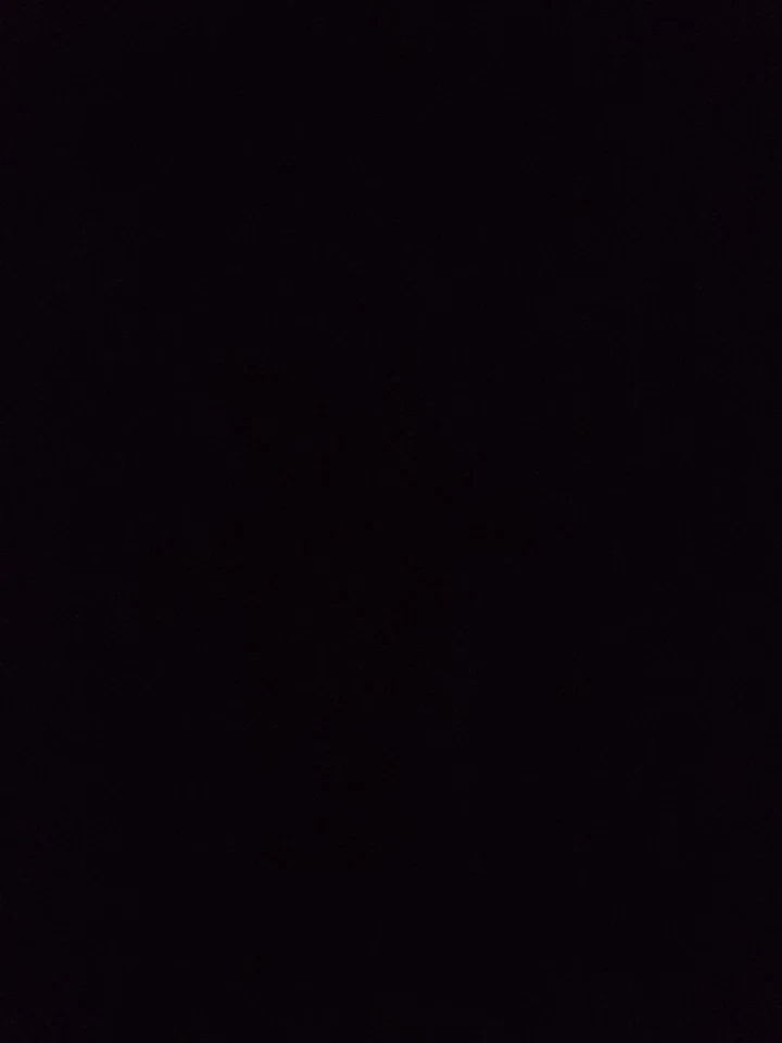 Max Payne 2 Fall of Max Payne (OG Xbox) - CIB COMPLETE TESTED AND WORKING  - Image 1 of 1