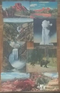 4 Vintage 1940er Riesen 7 x 9 Postkarten Yellowstone unbenutzt plus 4 Petly Kodachrome - Bild 1 von 9