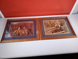 Lot / Paar 2 gerahmte Drucke von DALLEN LAMBSON Weißschwanzhirsch, Hütte [AE03] - Bild 1 von 11