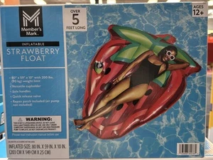 Member's Mark Oversized Inflatable Pool Float - Picture 1 of 4