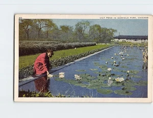 Postcard Lily Pond Garfield Park Chicago Illinois USA - Picture 1 of 2