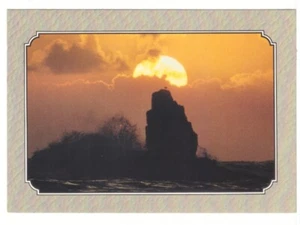 Ocean Sentinel, Seagull Stands Watch Over Golden Pacific Sunset Chrome Postcard - Picture 1 of 2