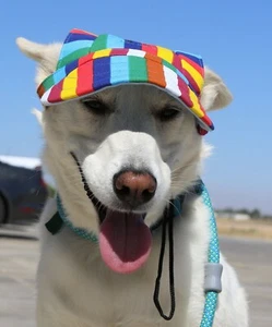 Dog Outdoor Pet Hat Rainbow Adjustable LoveWally Authentic USA Seller All Sizes - Picture 1 of 12