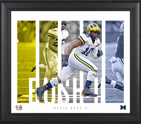 Devin Bush Michigan Wolverines Framed 15x17 Player Panel Collage Cover