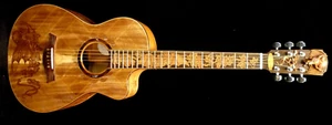 Acoustic Parlor Steel String Guitar Handmade by Blueberry Bats Pre-Order 90 Days - Picture 1 of 19