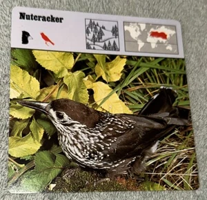 Vintage 1975 Tierkarte - Nussknacker - gedruckt in Japan - Bild 1 von 4