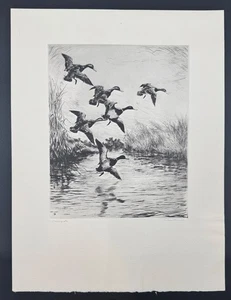 Coming In, Roland Clark Vintage Talio-Chrome Duck Hunting Dry Point Print 16x12 - Picture 1 of 6