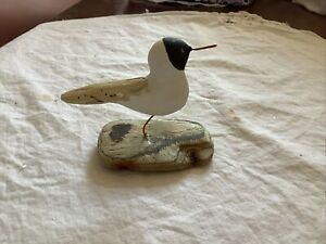 Driftwood Seascape Blackhead Gull Bird Figure Hand Carved Figure Coastal Bird