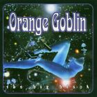 Orange Goblin : Big Black CD (2004) Value Guaranteed from eBay’s biggest seller!