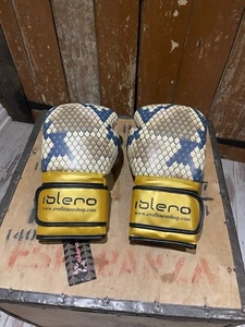 Guantes de Boxeo Evo Fitness Deportes Artes Marciales Sparring Kick Boxing Dorado 16 Oz - Imagen 1 de 17