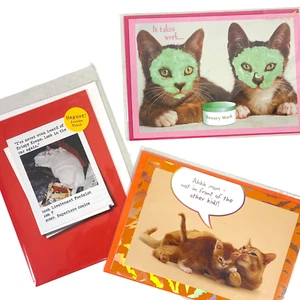 Cat 3 Greeting Card Lot Fat Magnet Blank Mothers Day Papyrus Lieutenant Feedalot - Picture 1 of 7