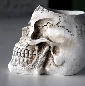 Gothic Skull Style Indoor Plant Container - White Skull Planter Pot - Picture 1 of 7