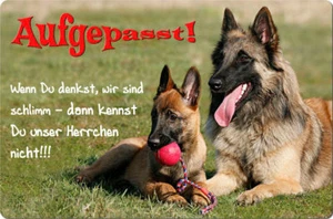 TERVUEREN MALINOIS Belgische Schäferhunde A4 Alu Warnschild SCHILD - BLS 02 T40 - Bild 1 von 2