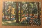 Vintage 1953 Used Linen Postcard Oriental Gardens Hydrangea Time Jacksonville Fl