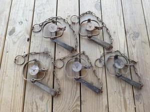 (5) Vintage Victor No. 1 1/2 Single Long Spring Traps Skunk Muskrat Raccoon Mink - Picture 1 of 12