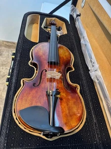 Violin 4/4 professional WoodNote with delux case and bow - Picture 1 of 5