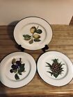 3 ROYAL VALE 9.25 Luncheon Accent Salad Plates Fruit Center Green Trim England