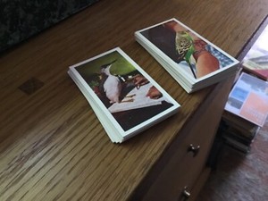 Doctor Teas Harden Bros National Pets A Series Full Set of 50 Tea Cards 1961