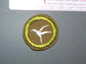 Boy Scout Merit Badge Bird study narrow tan cotton thread circa '41-46 4235M - Picture 1 of 1
