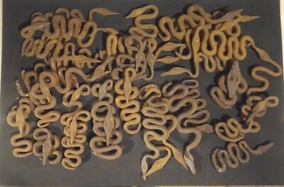 Antigua moneda serpiente de hierro forjado forjado tribu lobi africana Burkina Faso Foto 1 de 4