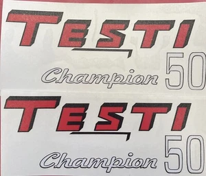 COPPIA ADESIVI TESTI CHAMPION - Imagen 1 de 1