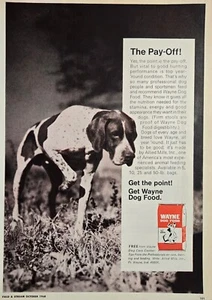 1968 VINTAGE PRINT AD - WAYNE DOG FOOD AD - HUNTING DOG POINTING - GET THE POINT - Picture 1 of 1