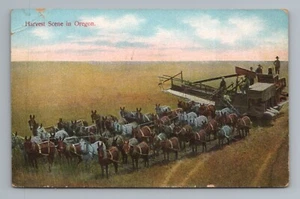 Cartolina Harvester Oregon - Foto 1 di 2