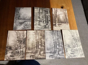 Lot 7: H. A. Duessel Naturszenen Postkarte - Bild 1 von 9