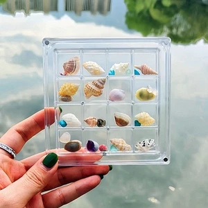 Acrylic Seashell Storage Box Bead Nail Jewelry Chic Gife - Picture 1 of 10